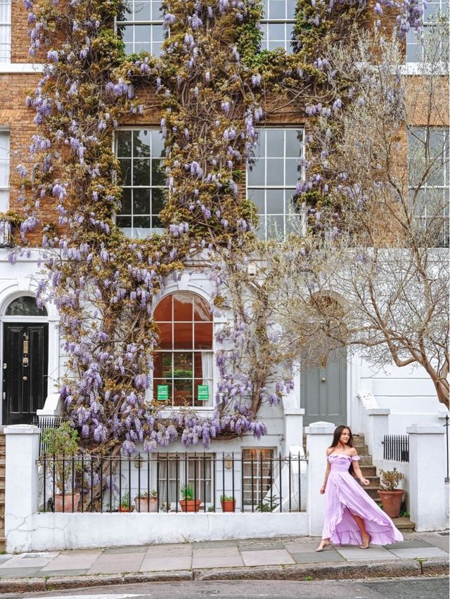 Where to see the wisteria around London