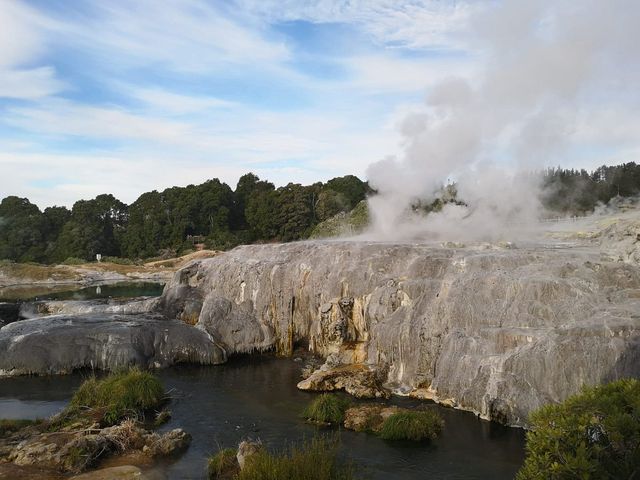 Enchanting Rendezvous in Rotorua 🌋
