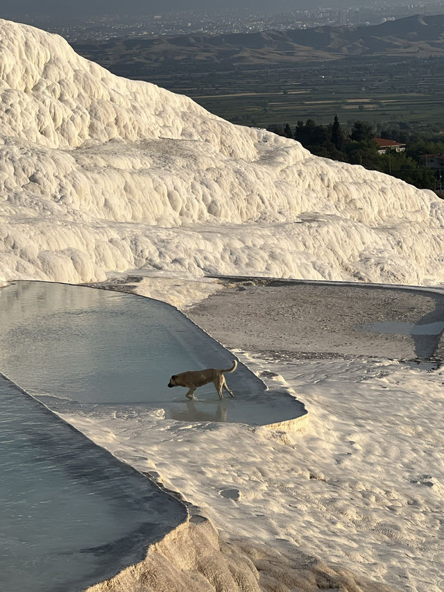 Cotton castle or Pamukkale 