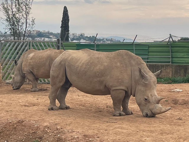 Attica Zoological Park 🐘🦒