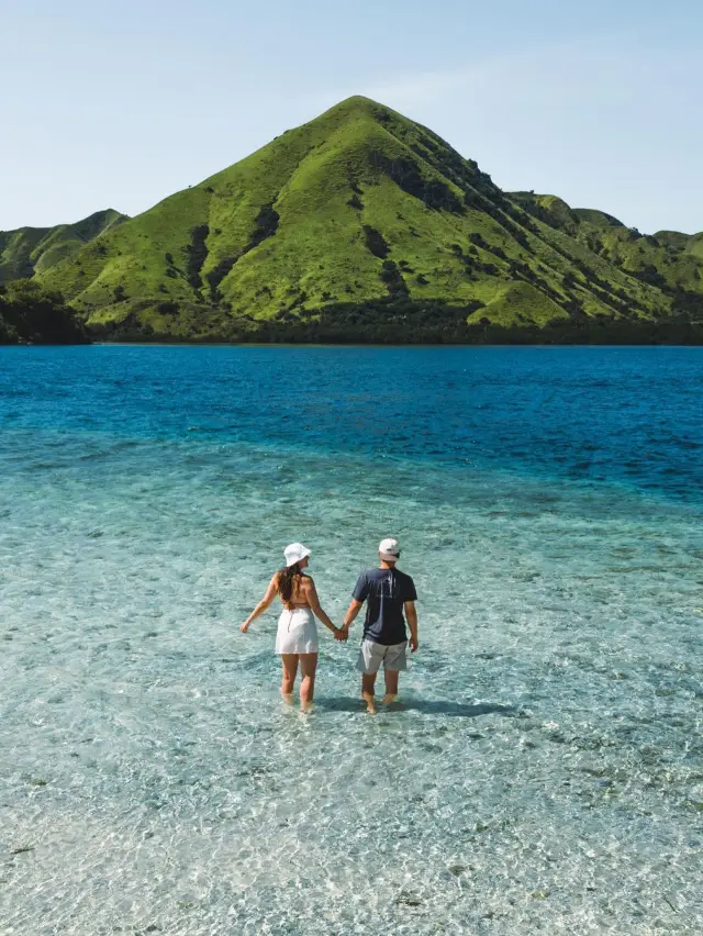 코모도 국립공원 🏝️ Komodo National Park