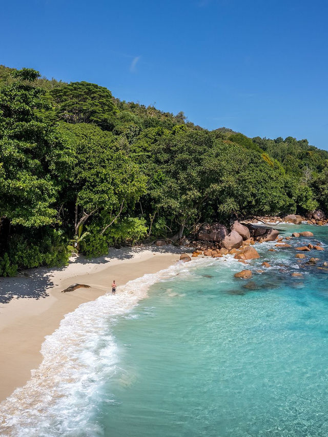 Constance Lemuria Praslin Seychelles