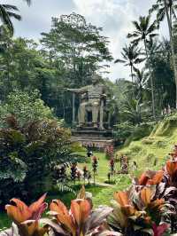 Alas Harum Bali