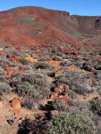 Tenerife: MY 5-WEEKS MAGIC WINTER ESCAPE TO PARADISE 