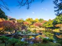 Tokyo strolls: The world's park!