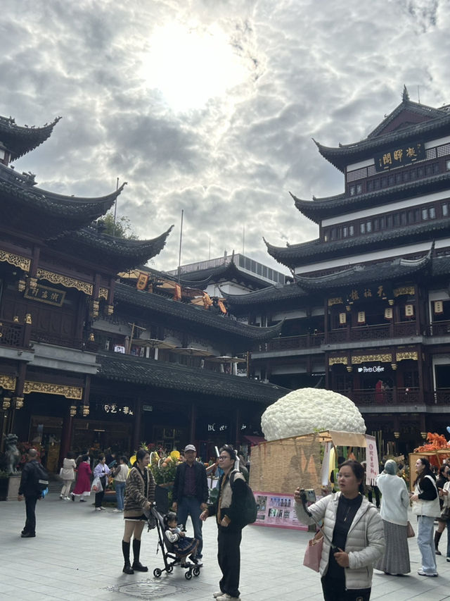 🌆 Shanghai Stopover: Tradition, Art & Hidden Gems 🎨