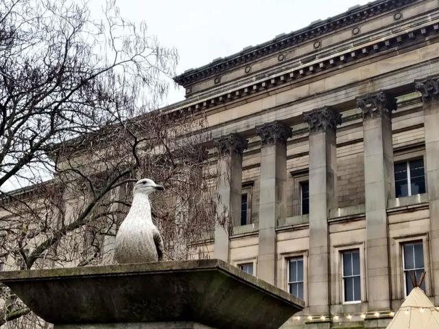 📖 Liverpool’s Grand Landmarks – St George’s Hall & Central Library