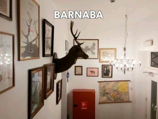 ステーキもピザも美味しい、シックでスタイリッシュなレストラン。