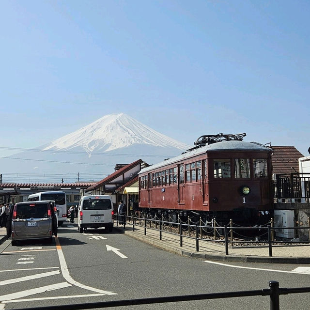 Mt Fuji covered with Sakura