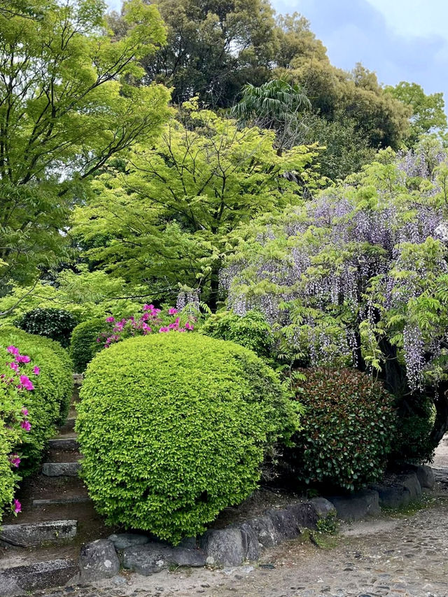 A Rainy Spring Day at Kajū-ji Temple