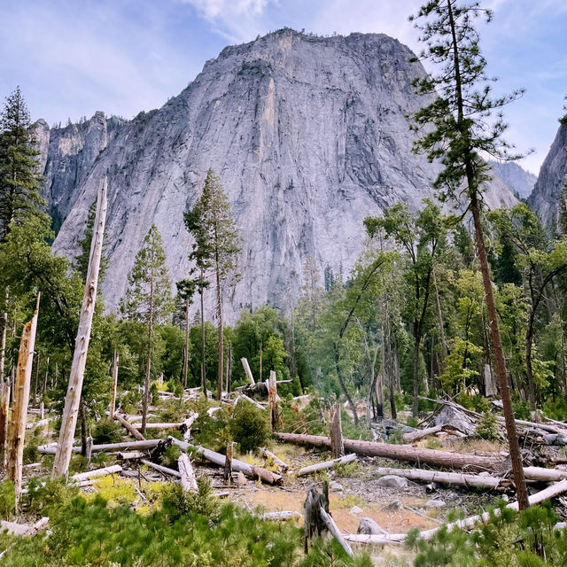 🌄 How to Get Around Yosemite National Park: Transportation Tips That Matter