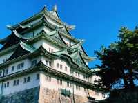 🚗 Ride-Sharing in Nagoya: Smart, Easy, and Totally Worth It 🇯🇵✨