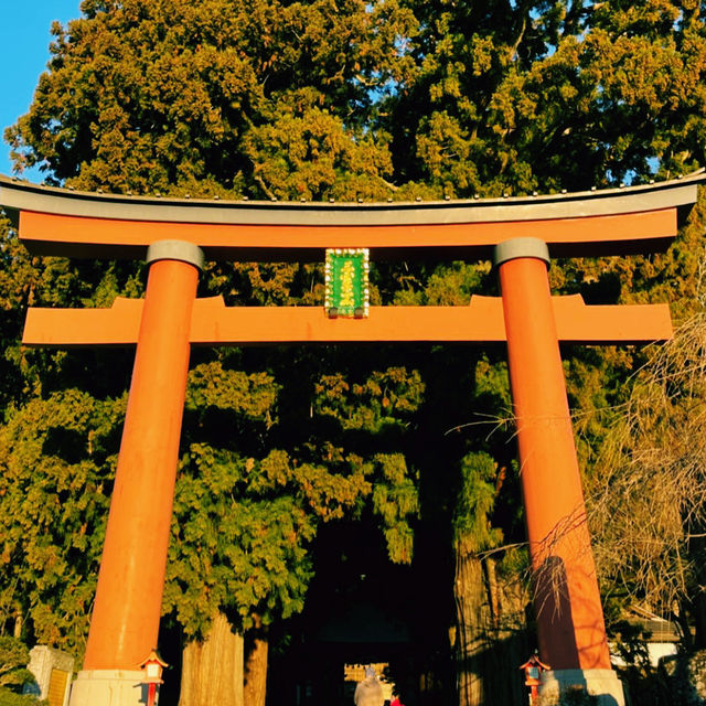 🚗 Ride-Sharing Around Mt. Fuji: Smart Travel with a View 🗻✨