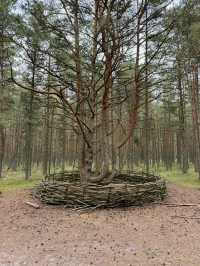 The Curonian Spit is a narrow sandy stretch of land between the Baltic Sea and the Curonian Lagoon