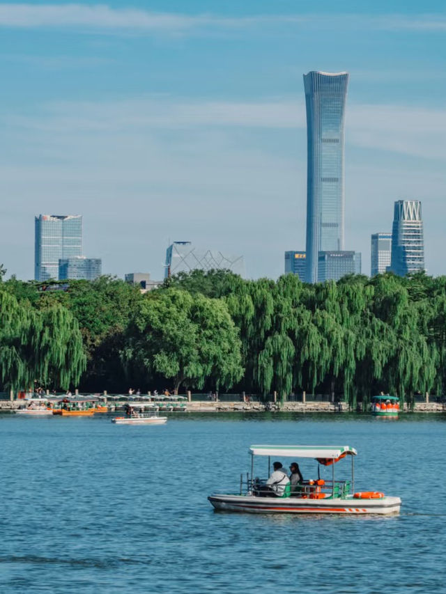 Lotus, Pagodas, and a Whisper of Imperial China — A Day in Beihai Park