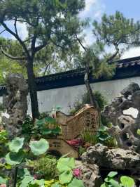 A Stroll Through Serenity: Exploring Suzhou’s Humble Administrator’s Garden