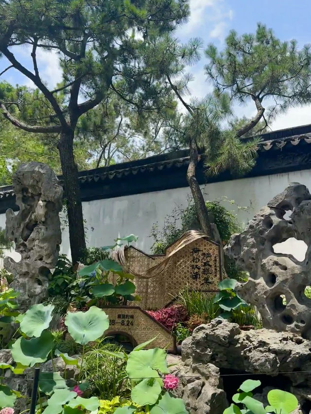 A Stroll Through Serenity: Exploring Suzhou’s Humble Administrator’s Garden