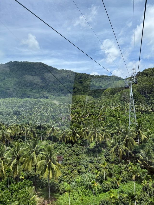 Янода Тропический парк (Хайнань) Янода Тропический парк (Хайнань)