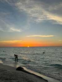 🏝️ Cuba’s Caribbean Magic: From Coral Reefs to Classic Streets 🇨🇺✨
