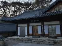 South Korea Itinerary 4: Daegu's Hidden Gem Getaway