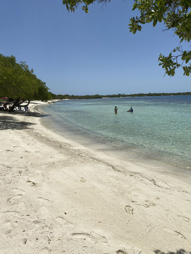 Venezuela Seaside: level up your beach game in Silva beach !