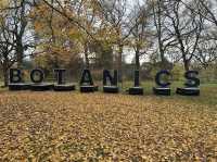 🍁 Royal Botanic Garden Edinburgh – Autumn Calm Among Rare Beauty 🌿