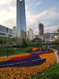 Shekou Sea World 🌟