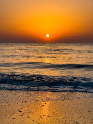 Sunset Dreaming🌅 