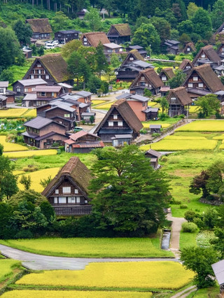 白川鄉——四季皆如童話般的村落。