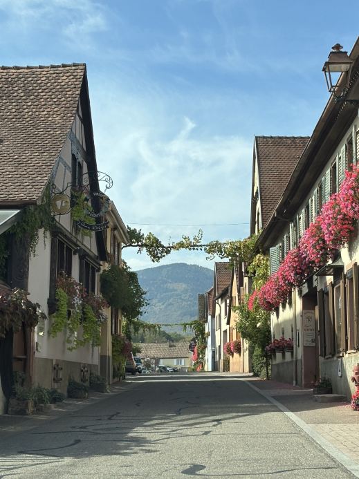 🇫🇷🇩🇪 Alsace & Black Forest Road Trip | Trip.com Strasbourg