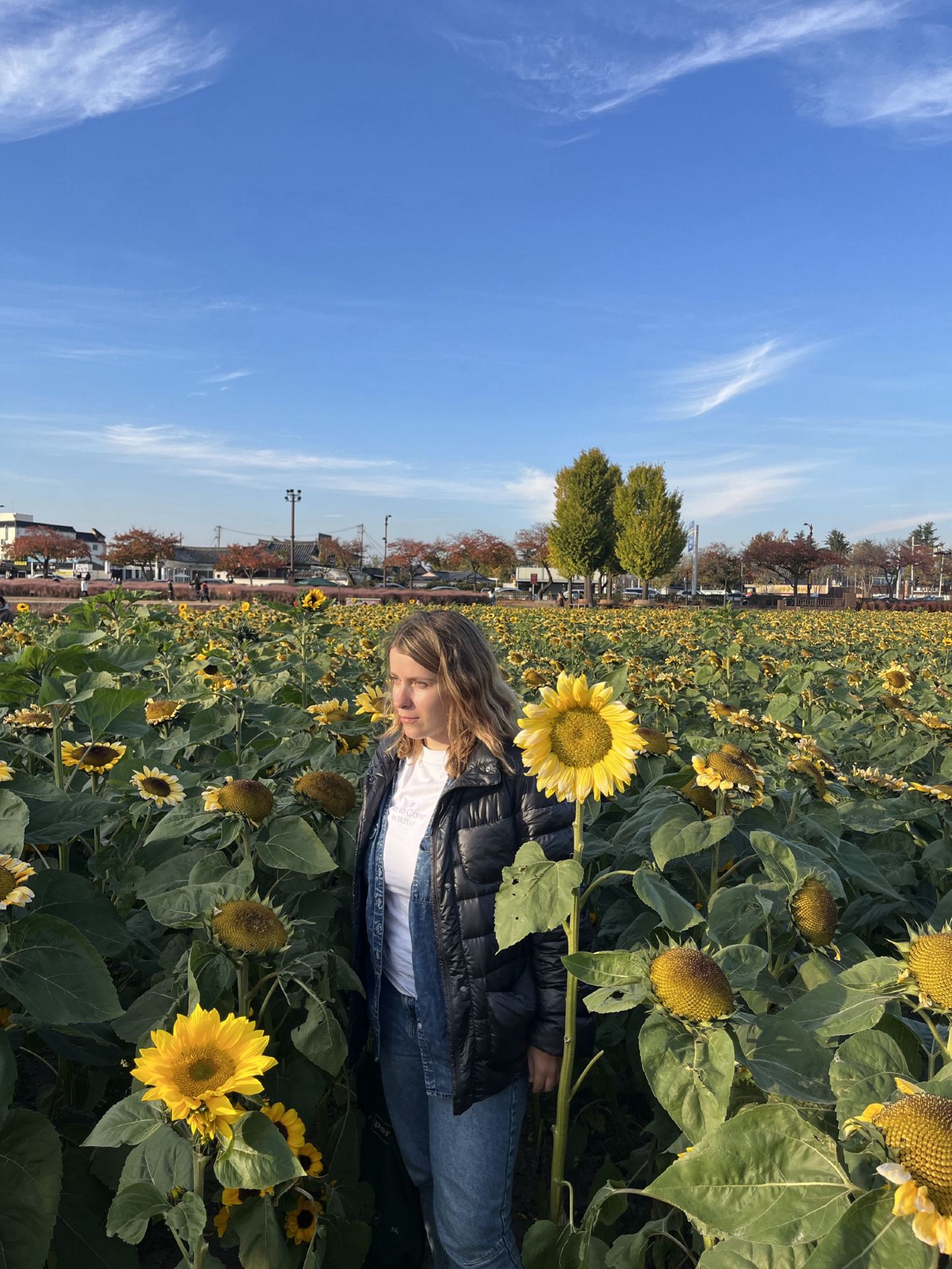 A Day Trip to Gyeongju from Busan