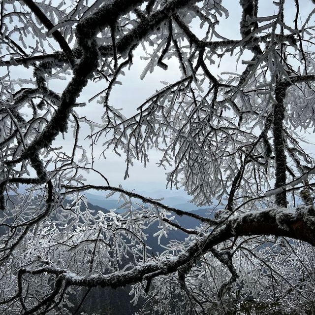 Fanjing mountain - a dream 