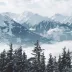 pheris_0415