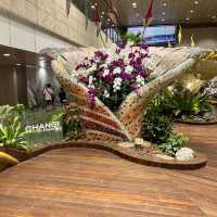 Singapore airport 😍
