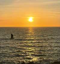 Sunset cliff magnificent scenery, enjoy the stunning scenery across the ocean.