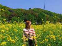 🌸 Blooms & Wonders: Shangfangshan Adventure