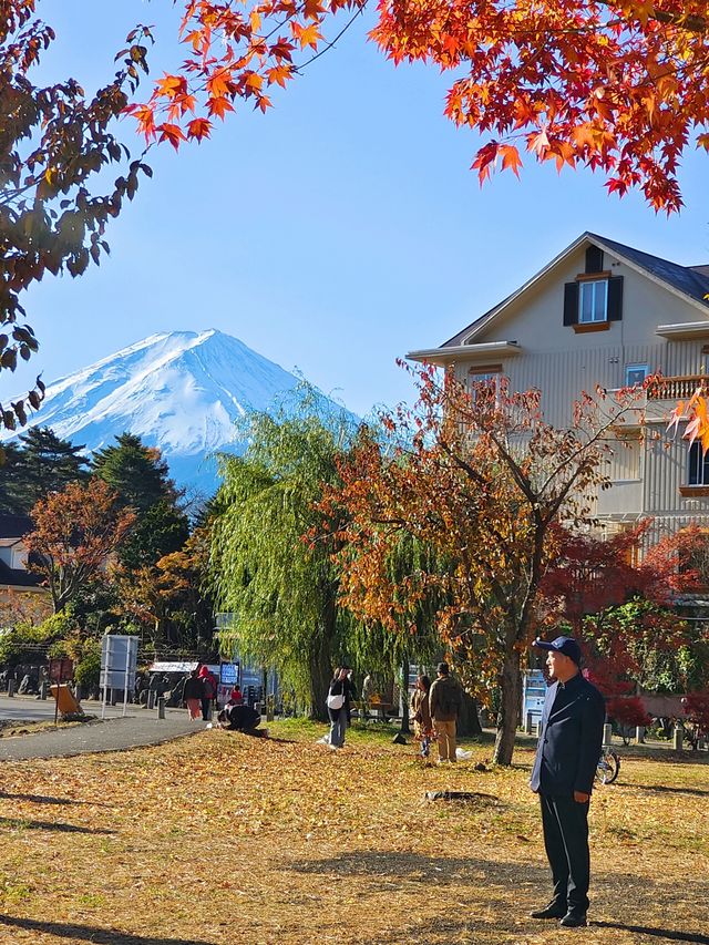 河口湖畔