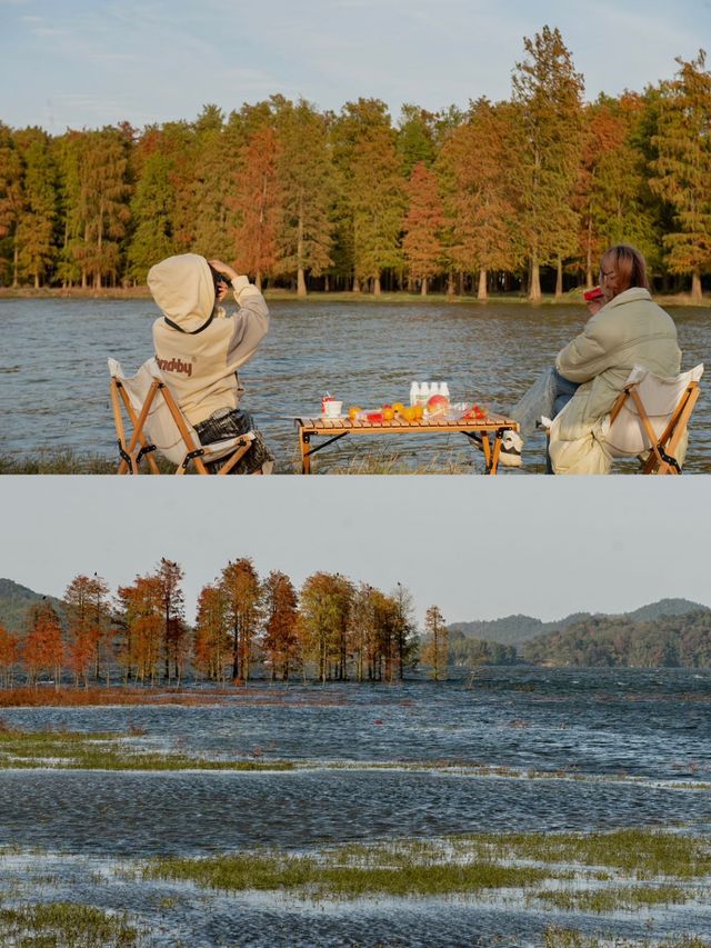 不需要去喀納斯，在余姚也能看到北疆的美景