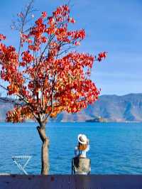 我原本以為洱海已經很美了！直到我去了泸沽湖…|||
