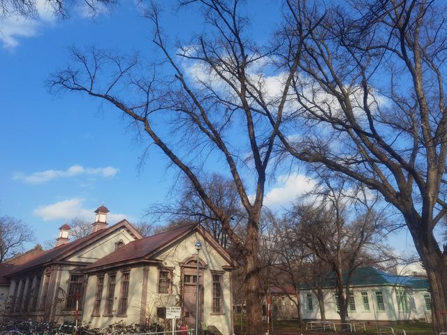 北海道大學校園—關不住的滿園秋色