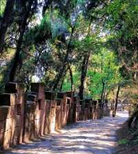 冬日好去處：成都金堂龍脊古道