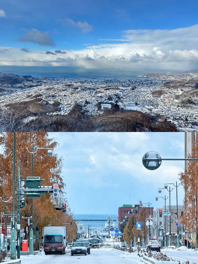 北海道5天4夜攻略｜札幌小樽的雪天太美了