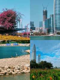 深圳 人才公園 ｜風景超美的公園，白天露營，傍晚看黃昏