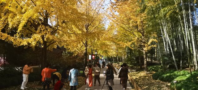 秋日美色古華園