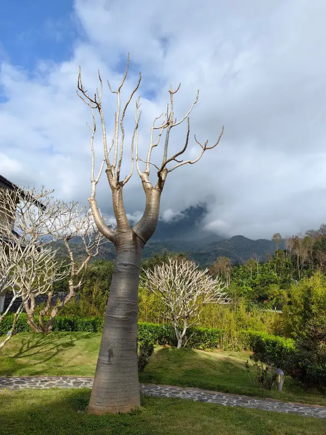 สวนป่าดิบชื้นที่หมู่บ้านน้ำเต็ม