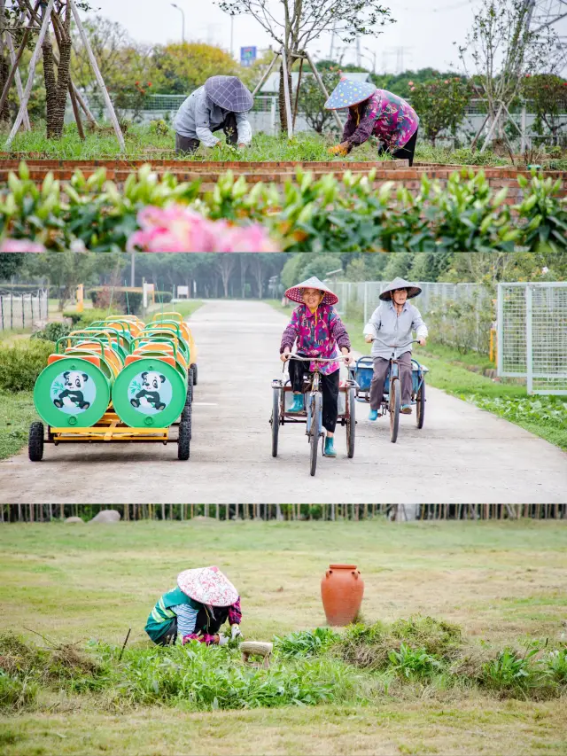 Suzhou| National Day family outing to the farm, play wildly during the holiday!||