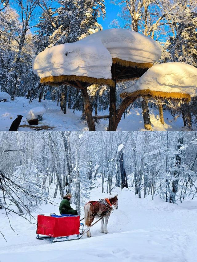 東北雪鄉深度遊：3天2晚暢享冰雪奇緣！