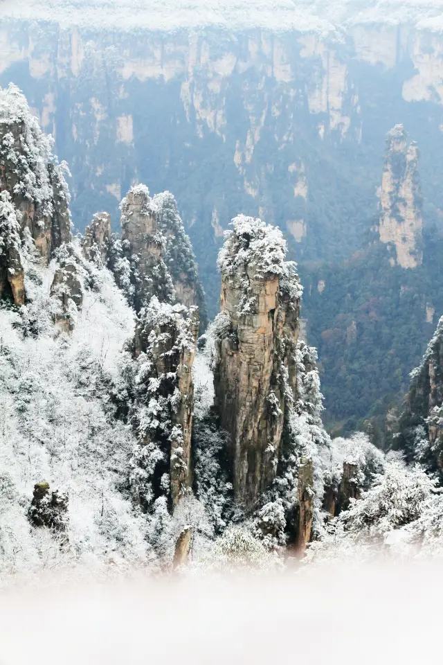 Heaven on Earth: Zhangjiajie
