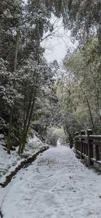 徒步杭州最美森林古道：徑山古道