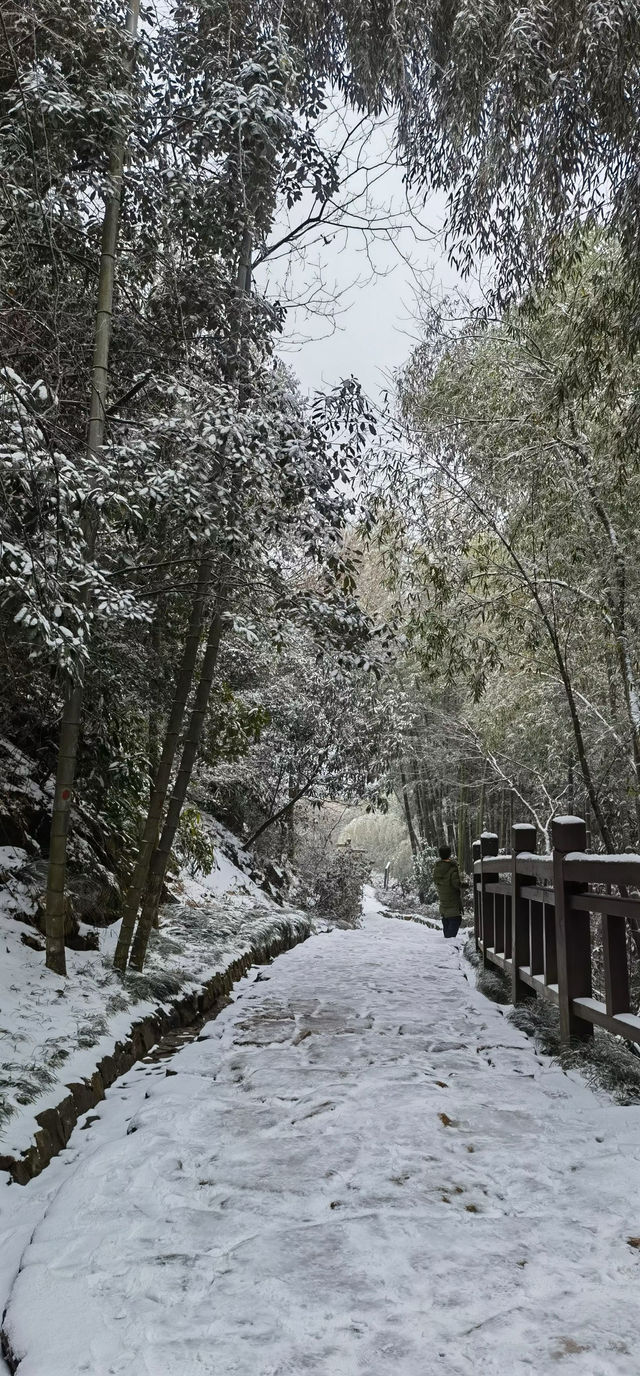 徒步杭州最美森林古道：徑山古道